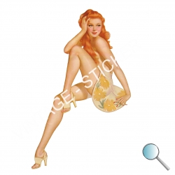Autoaufkleber, Aufkleber, Kofferaufkleber, Pin Up 69
