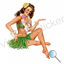 Autoaufkleber, Aufkleber Pin up Hawaii