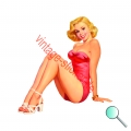 Autoaufkleber, Aufkleber, Kofferaufkleber, Pin up 91